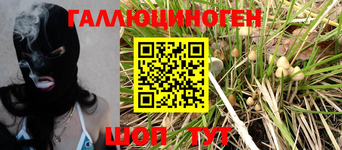 Псилоцибиновые грибы Psilocybe  Вход с VPN  Великий Новгород 