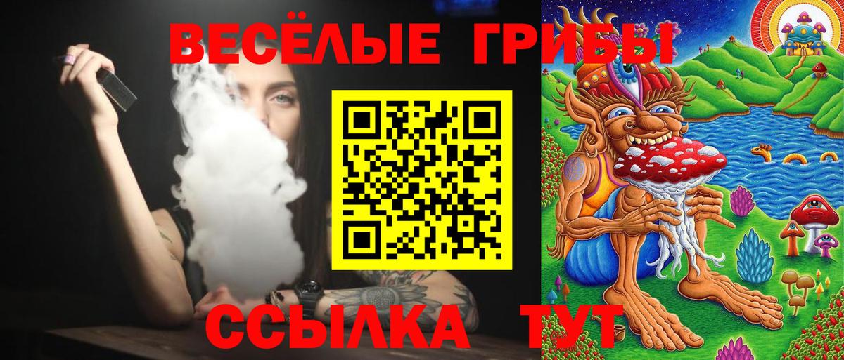 Псилоцибиновые грибы Cubensis Великий Новгород